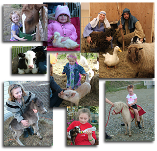 Mobile Petting Zoo