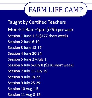  Palmer Alaska Summer Camp Schedule