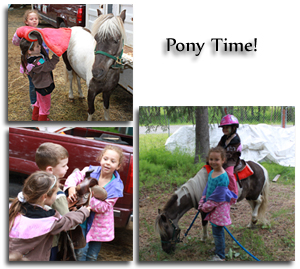  basic horsemanship